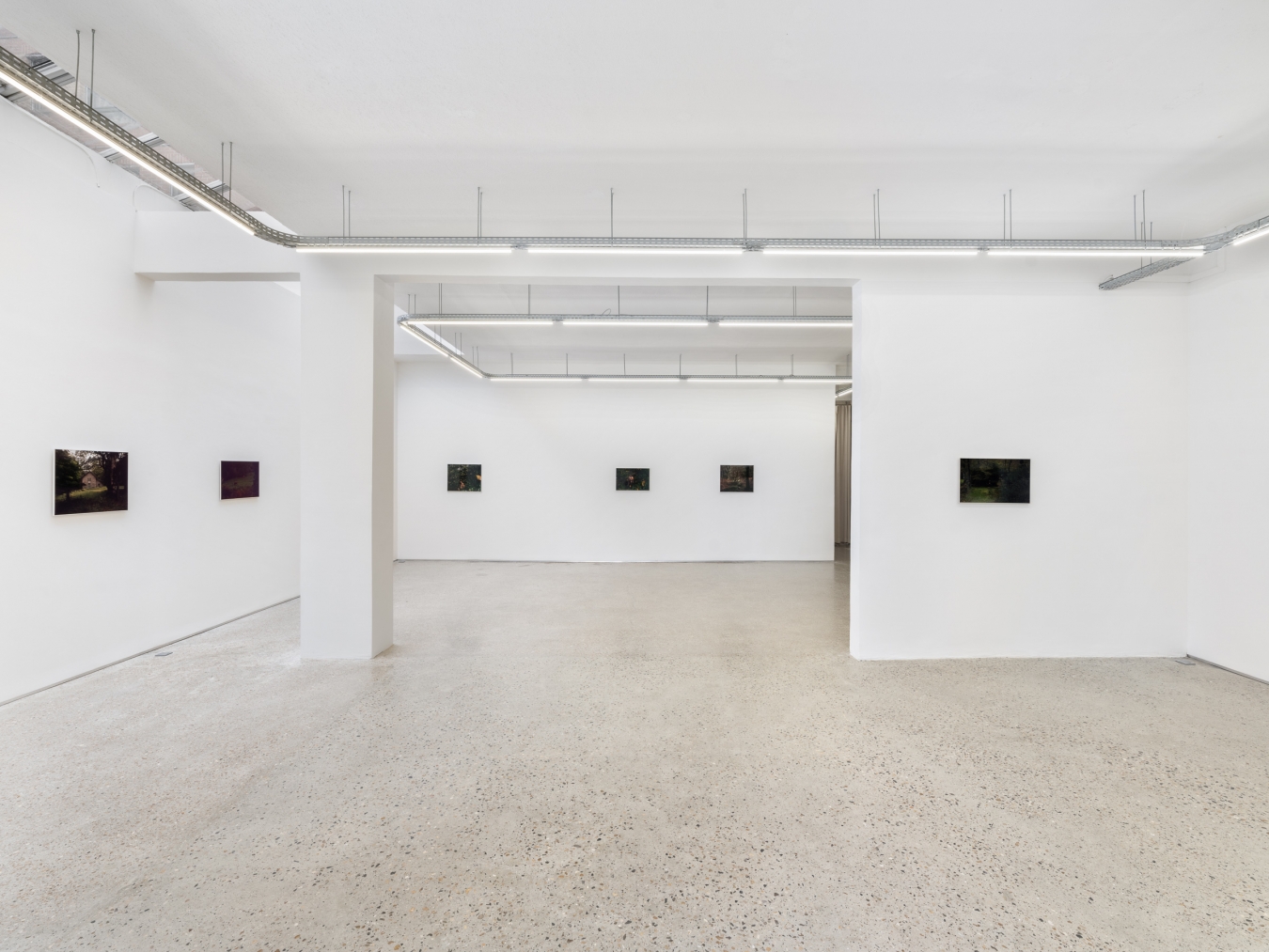 Alain Guiraudie - Galerie CrèveCoeur