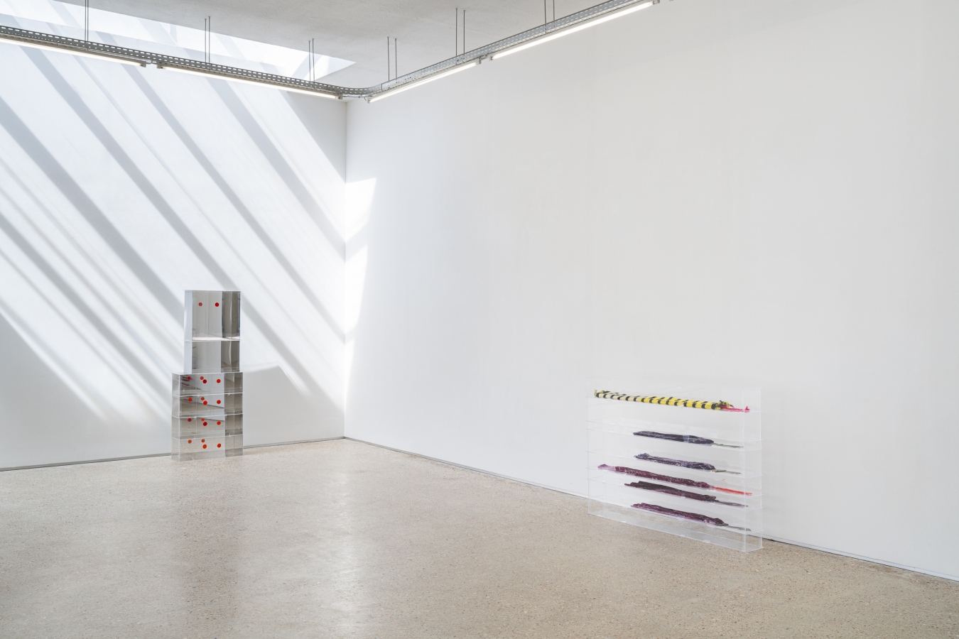 Anne Bourse - Galerie CrèveCoeur
