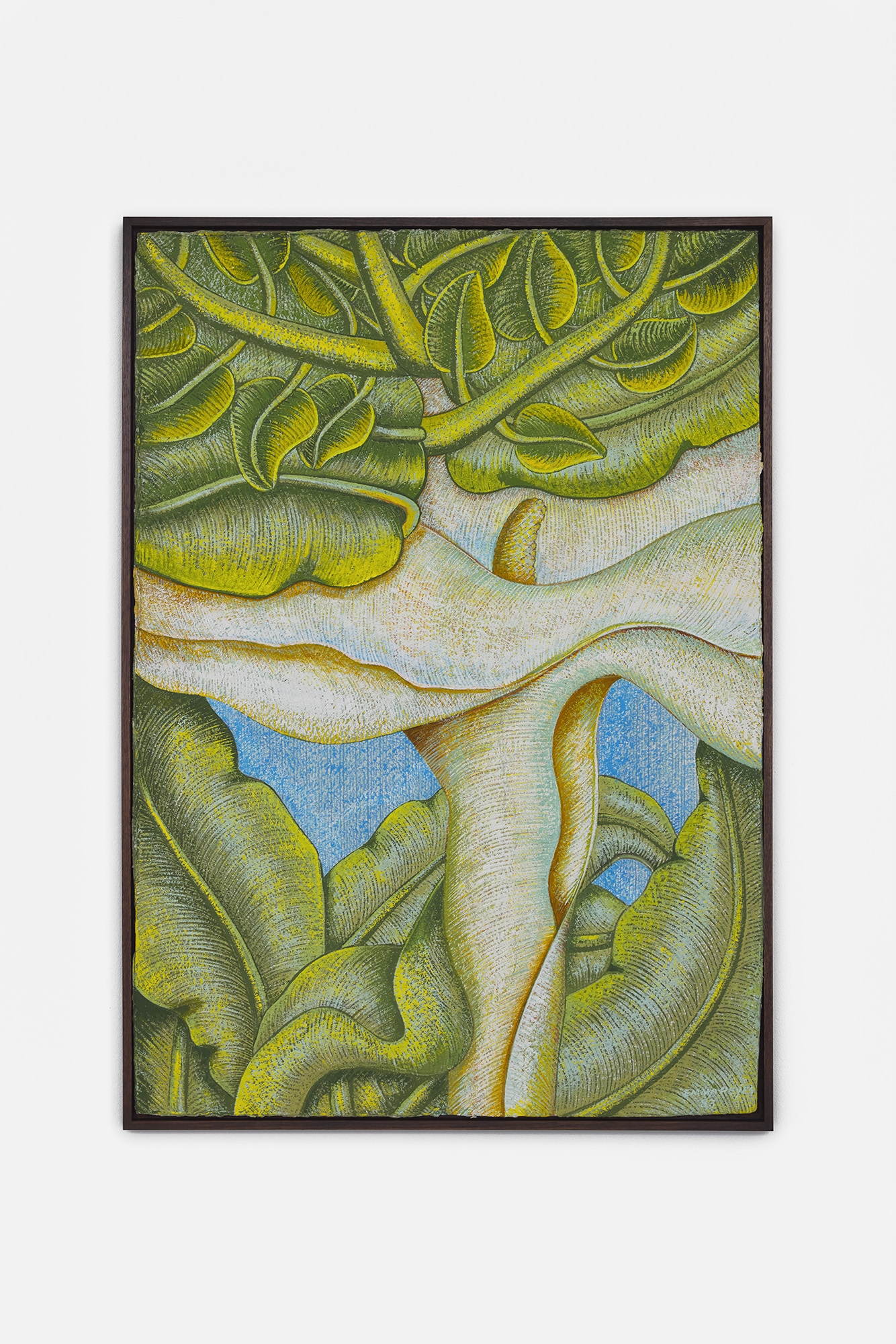 Emma Reyes - Galerie CrèveCoeur