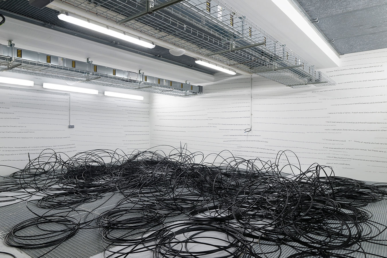 Jason Matthew Lee - Galerie CrèveCoeur