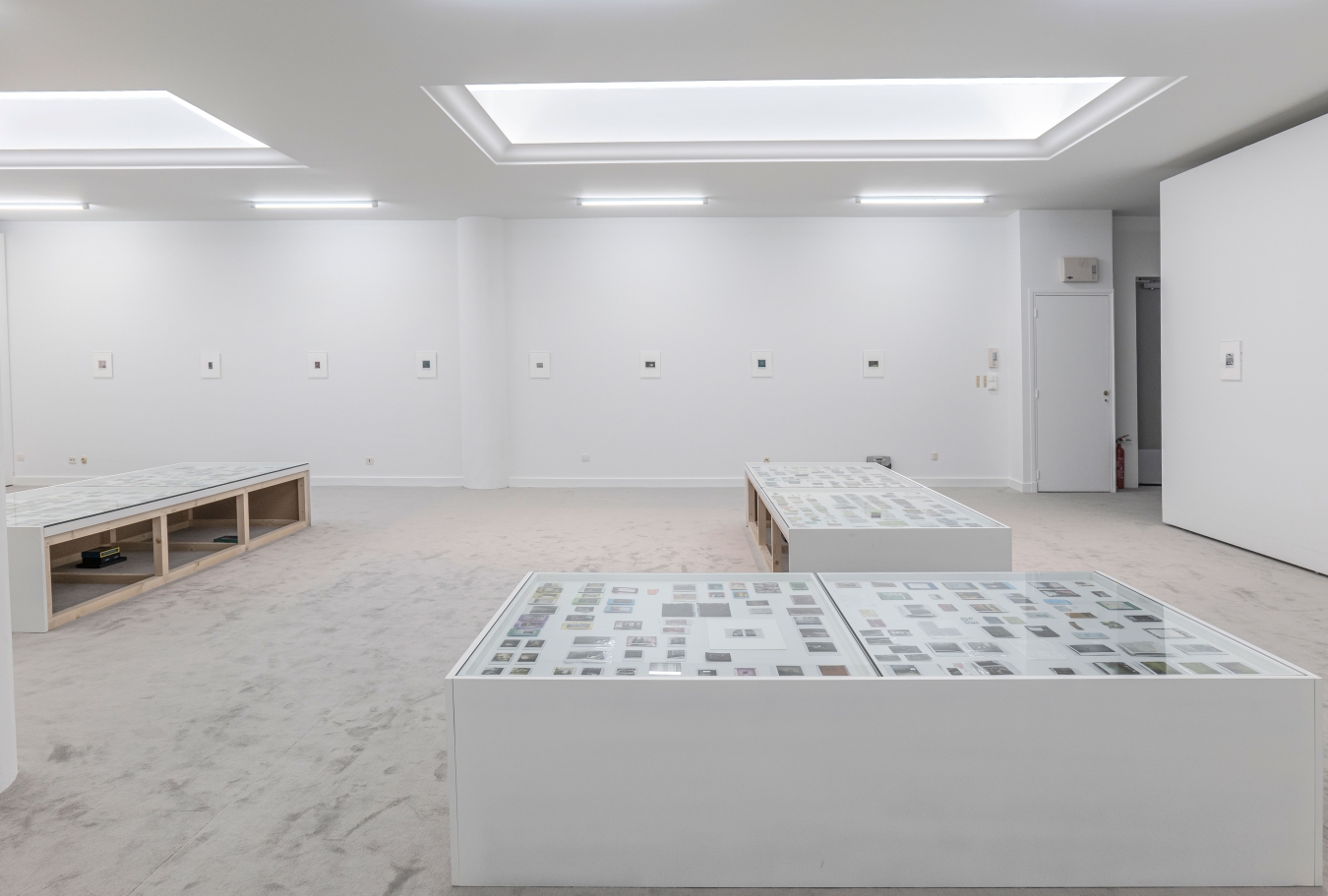 Julien Carreyn - Galerie CrèveCoeur