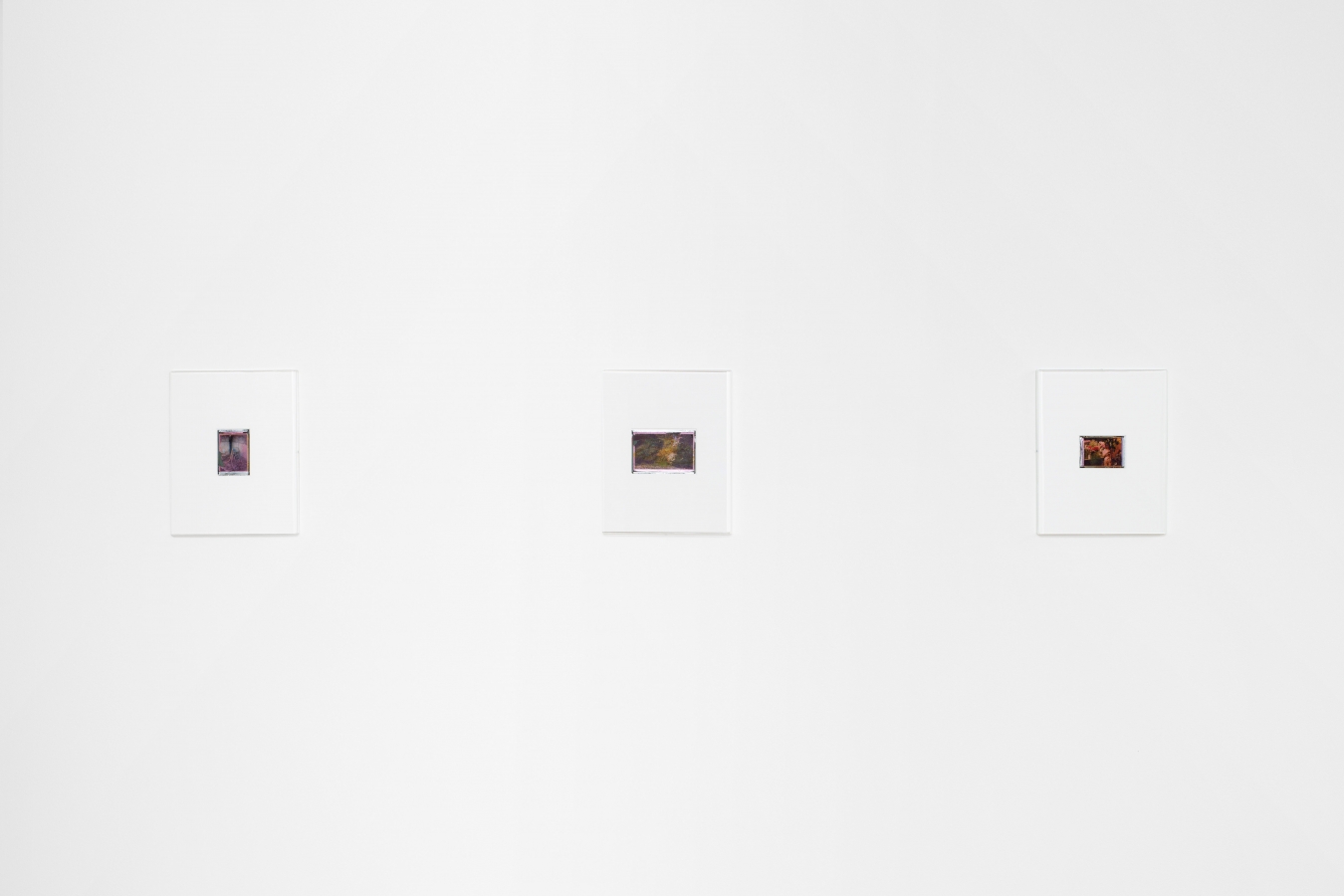 Julien Carreyn - Galerie CrèveCoeur