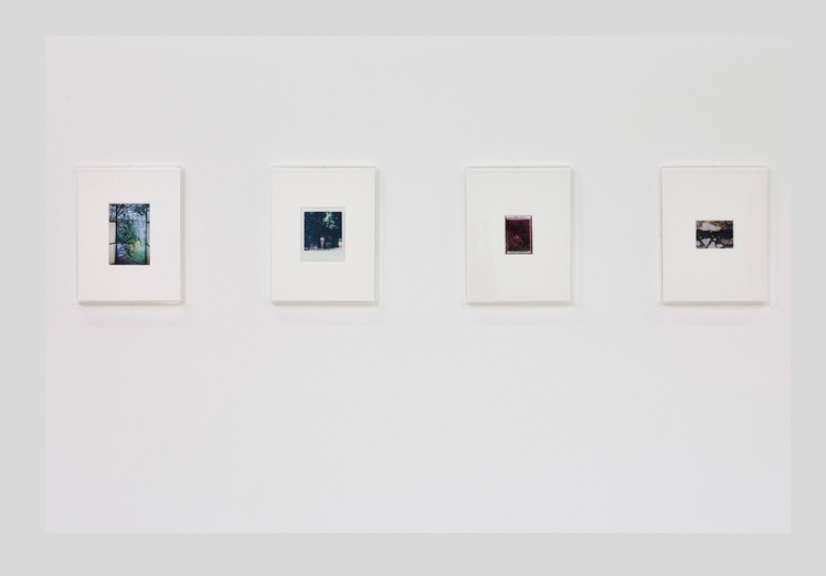 Julien Carreyn - Galerie CrèveCoeur