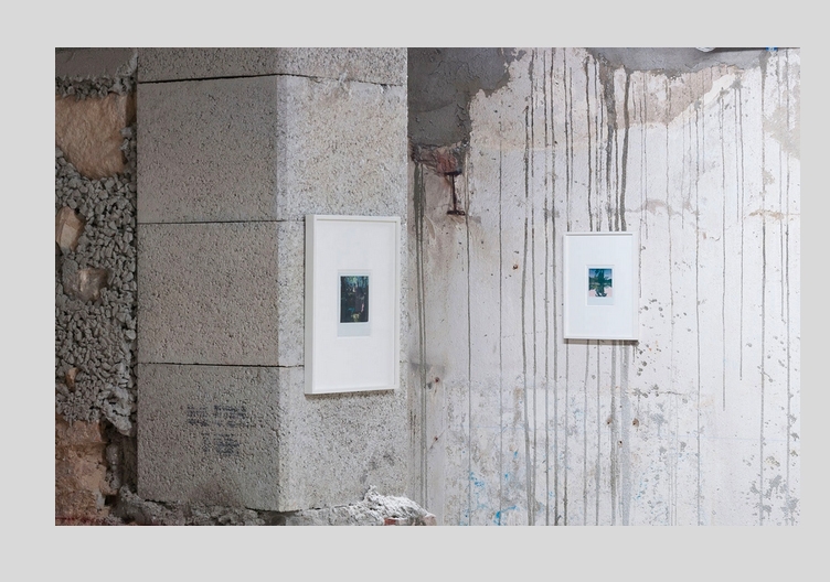 Julien Carreyn - Galerie CrèveCoeur