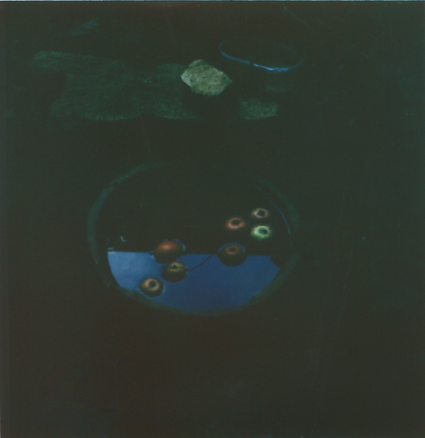 Julien Carreyn - Galerie CrèveCoeur