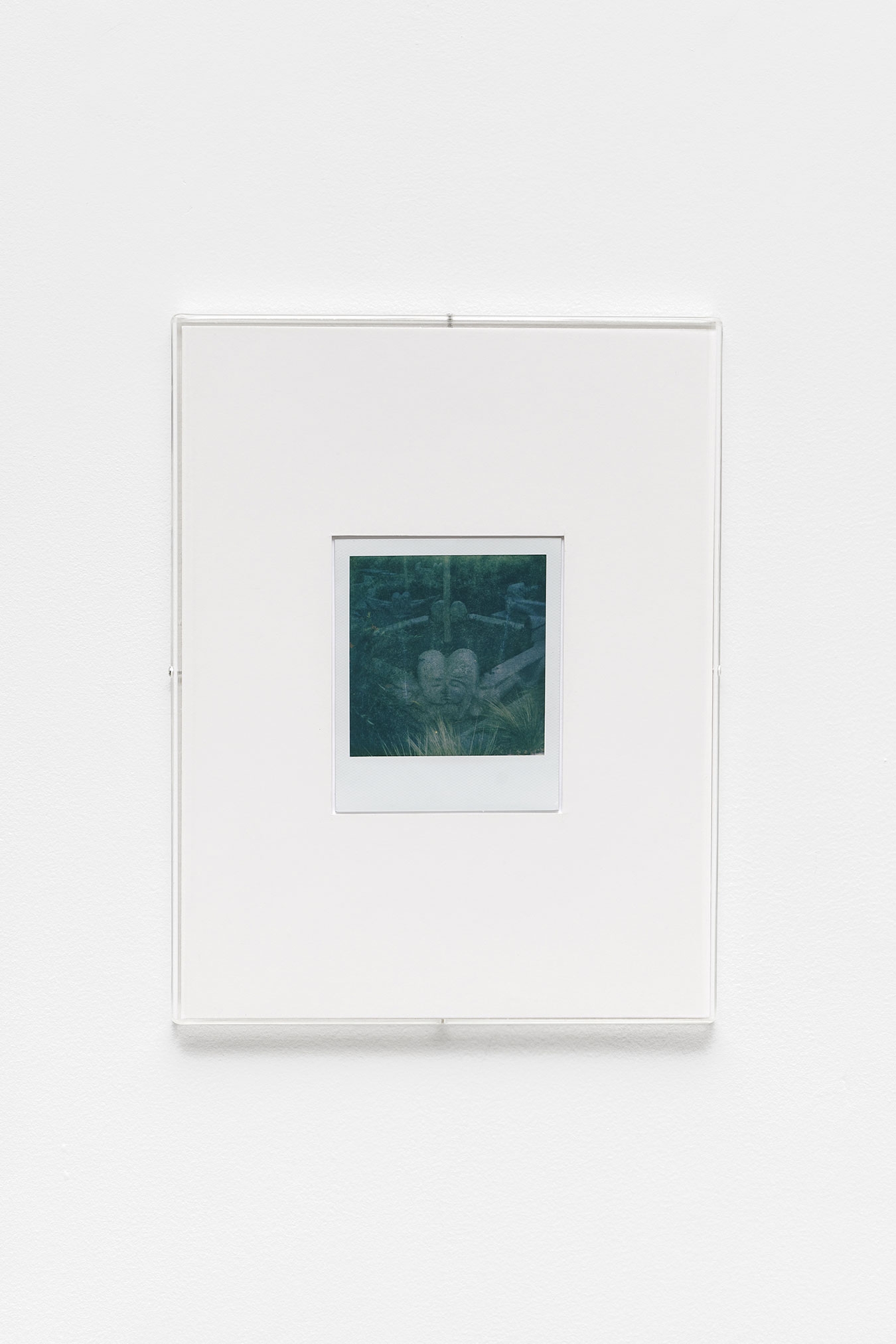 Julien Carreyn - Galerie CrèveCoeur