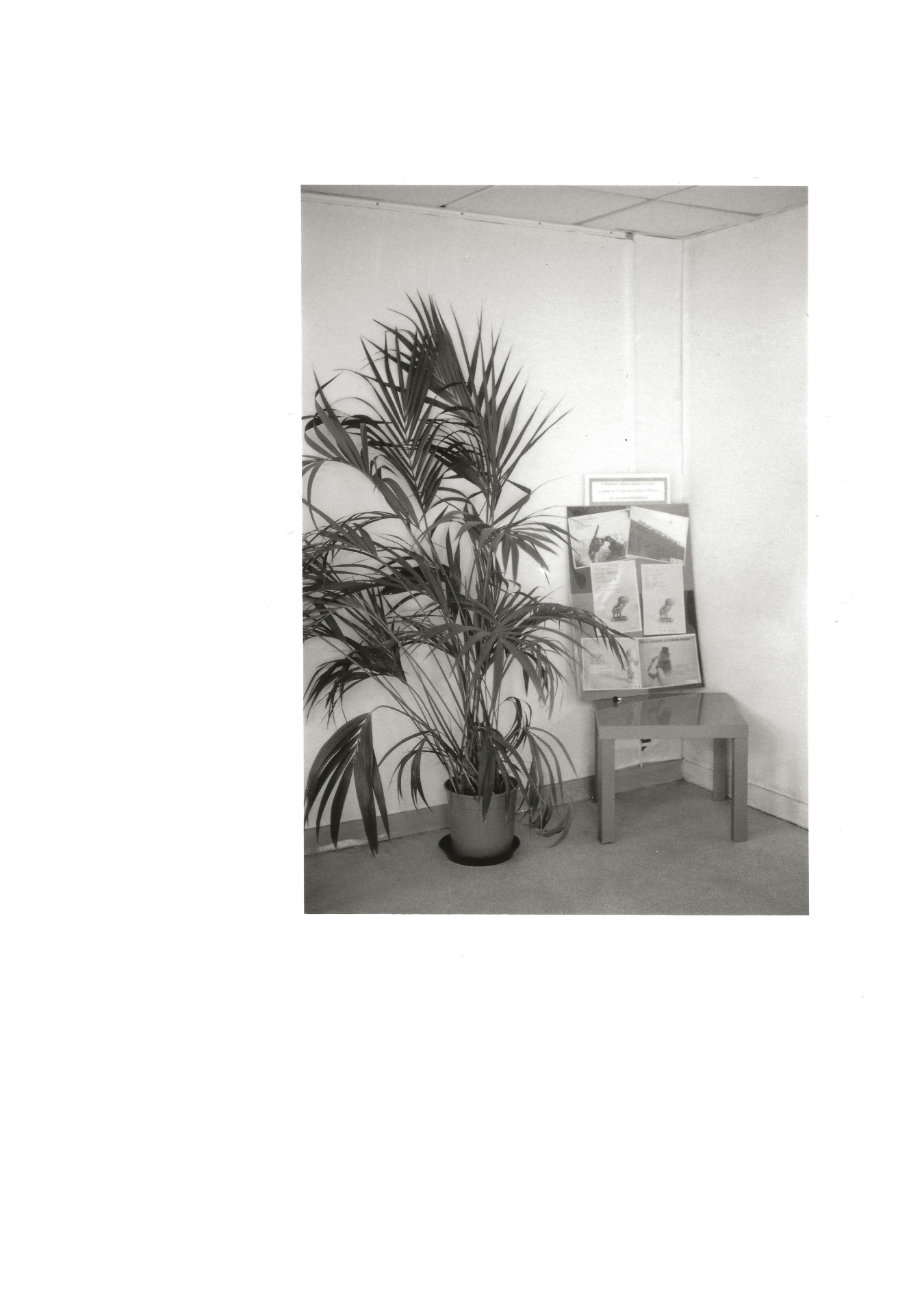 Julien Carreyn - Galerie CrèveCoeur