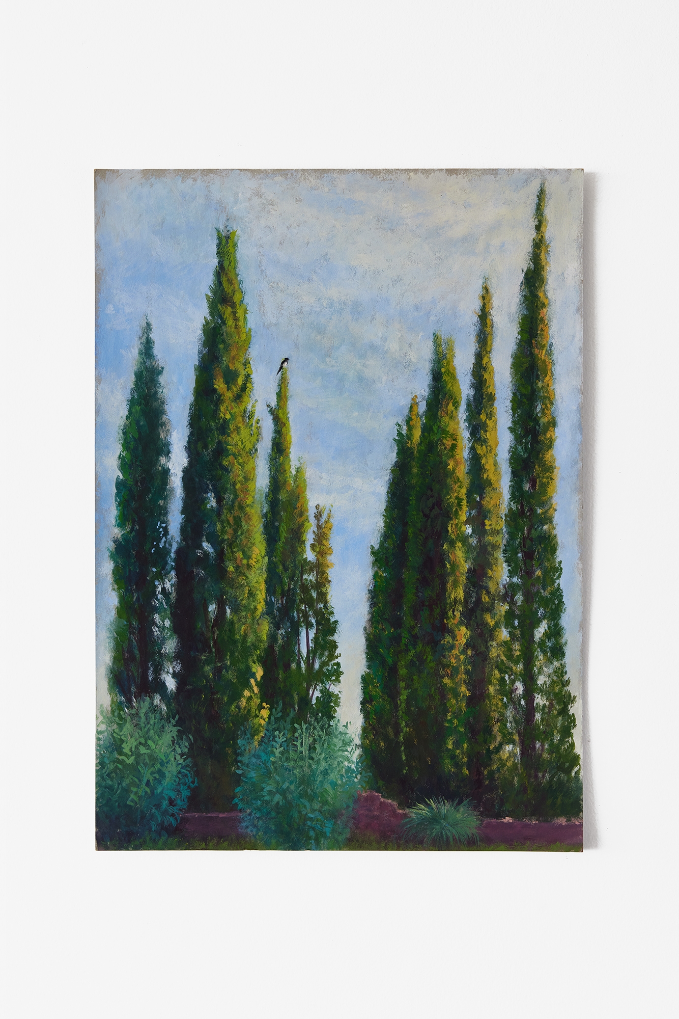 Louise Sartor - Galerie CrèveCoeur