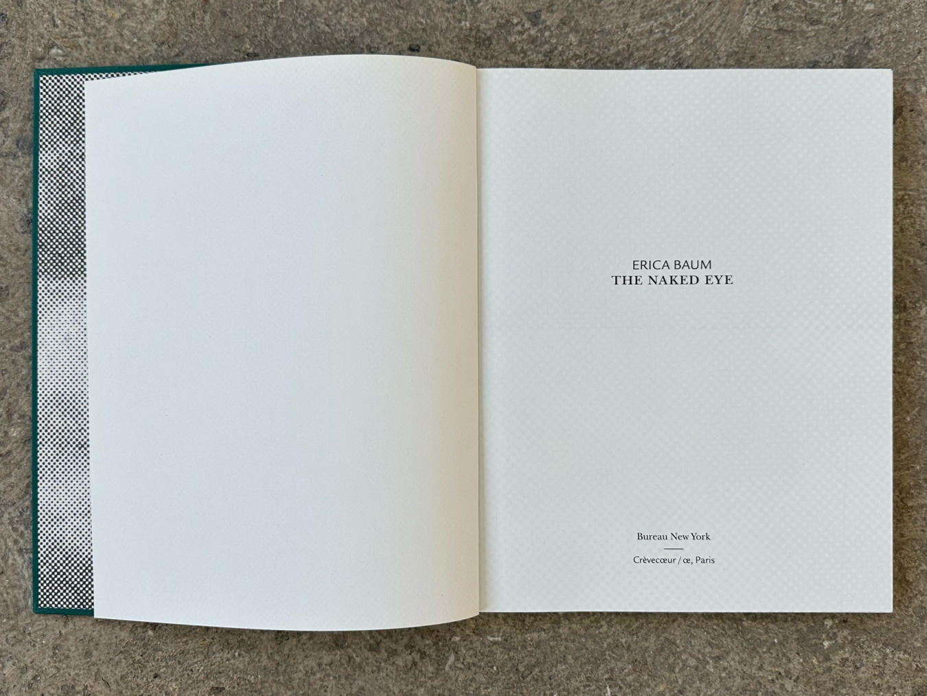 The Naked Eye - Galerie CrèveCoeur