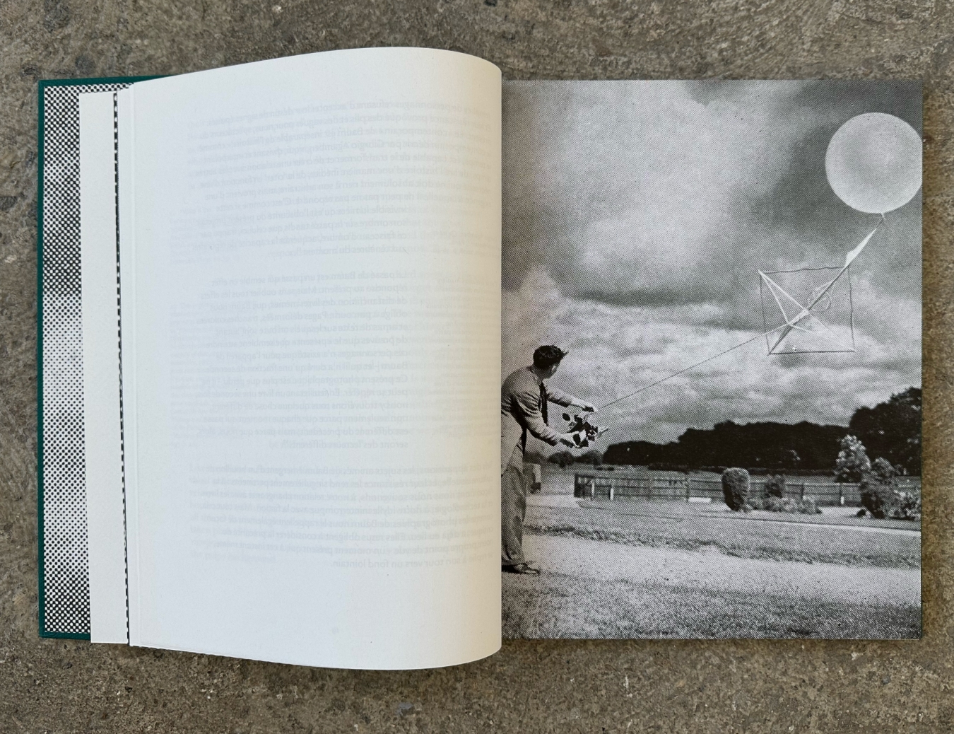 The Naked Eye - Galerie CrèveCoeur