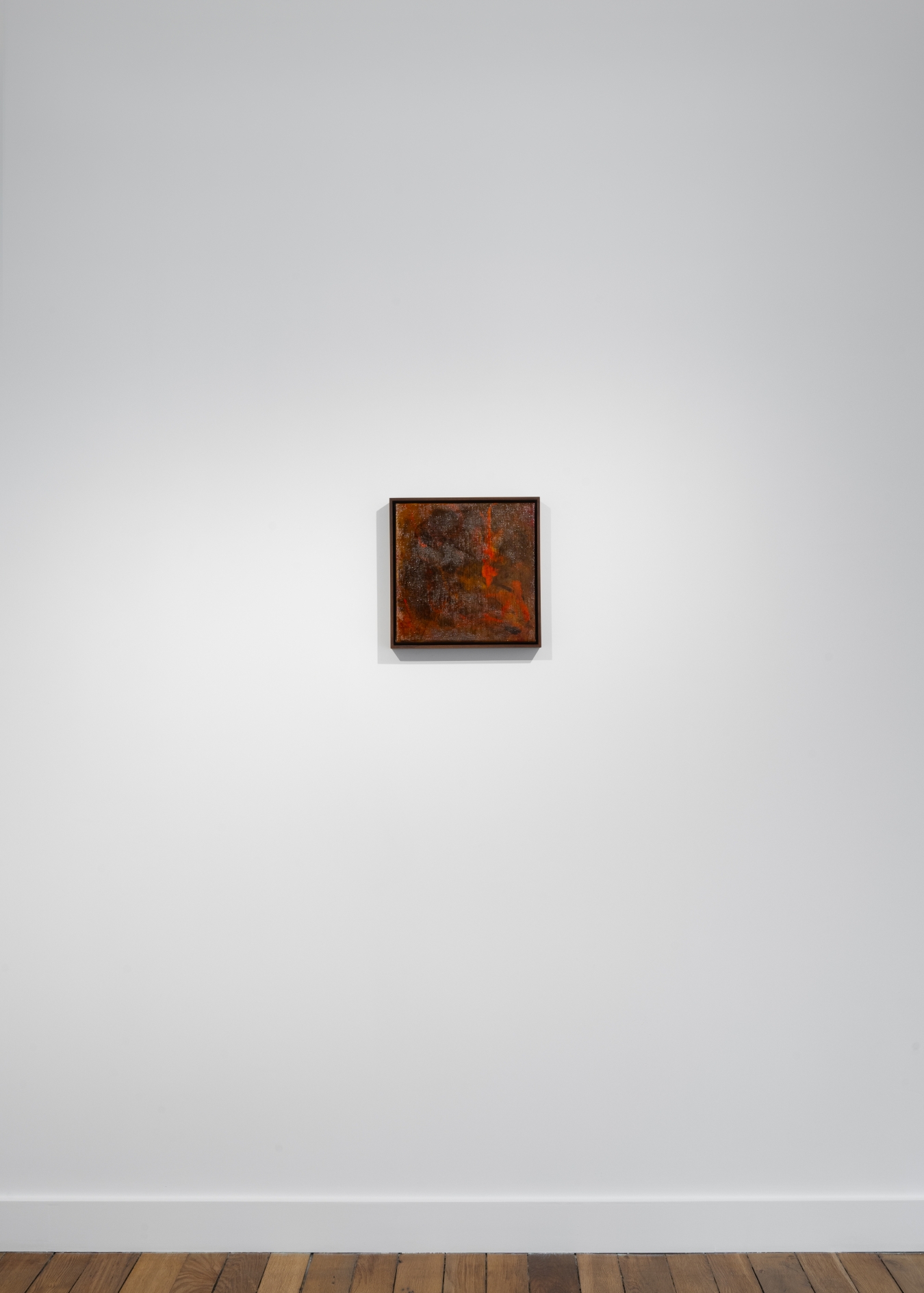 Calamondin - Galerie CrèveCoeur
