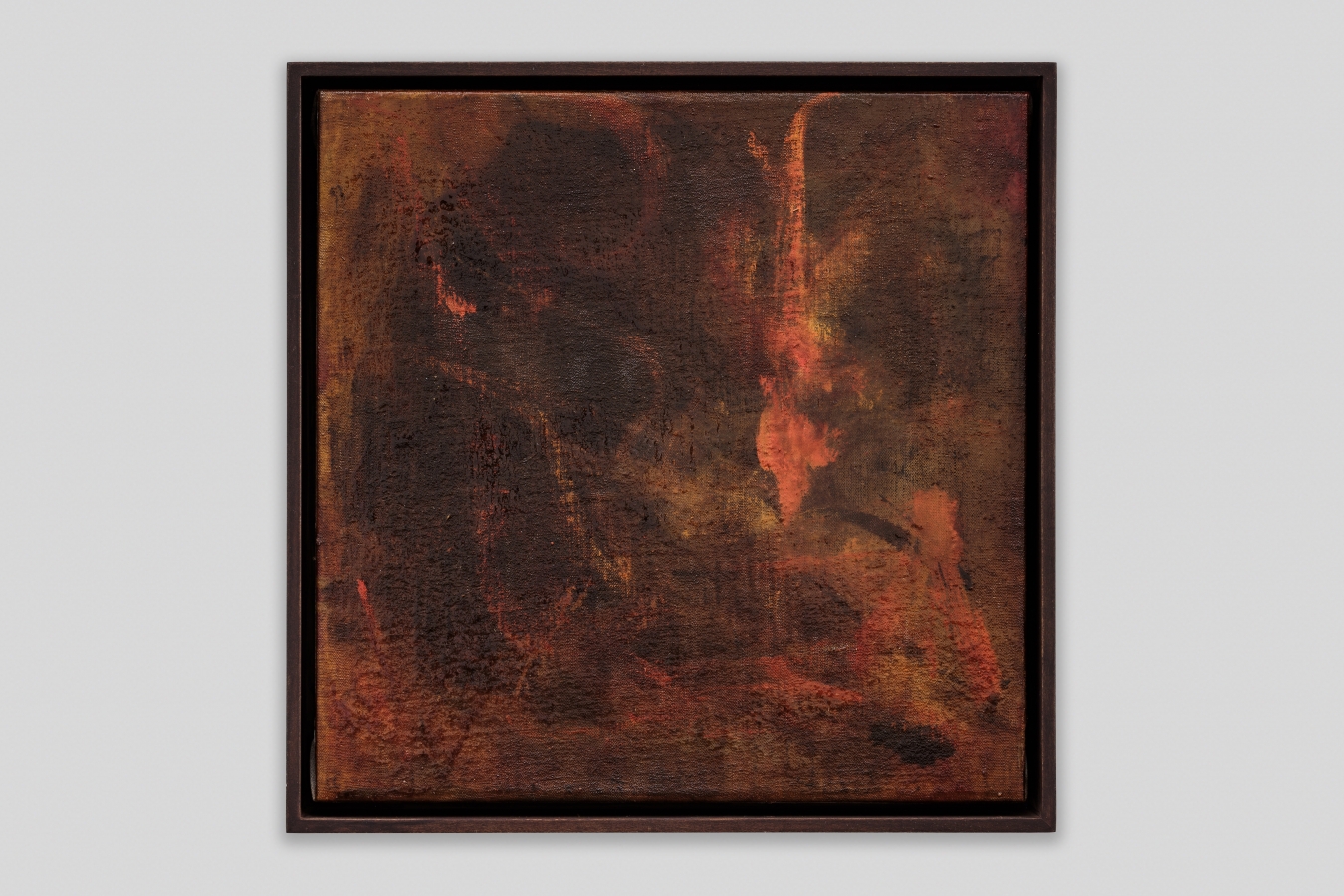 Calamondin - Galerie CrèveCoeur