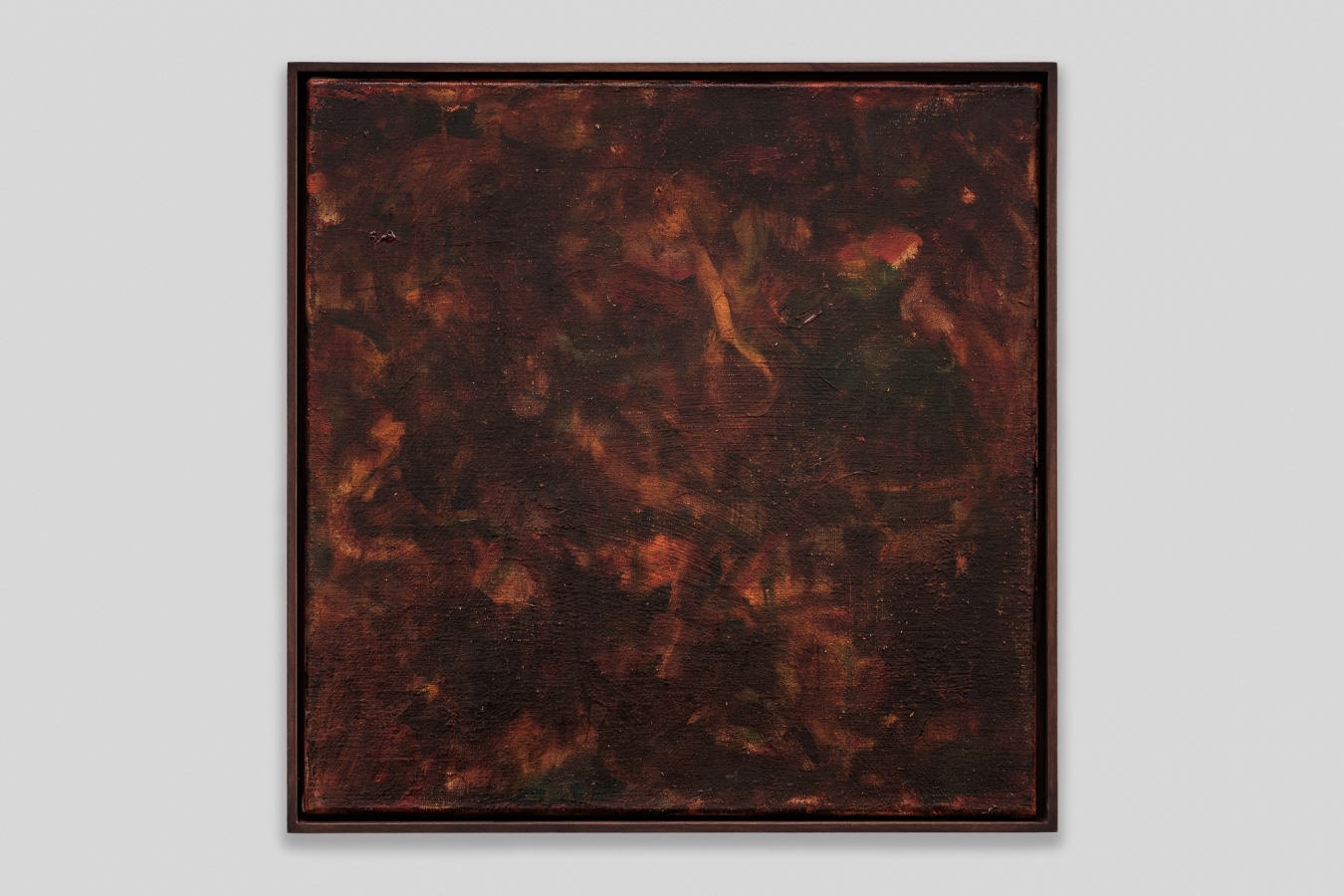 Calamondin - Galerie CrèveCoeur