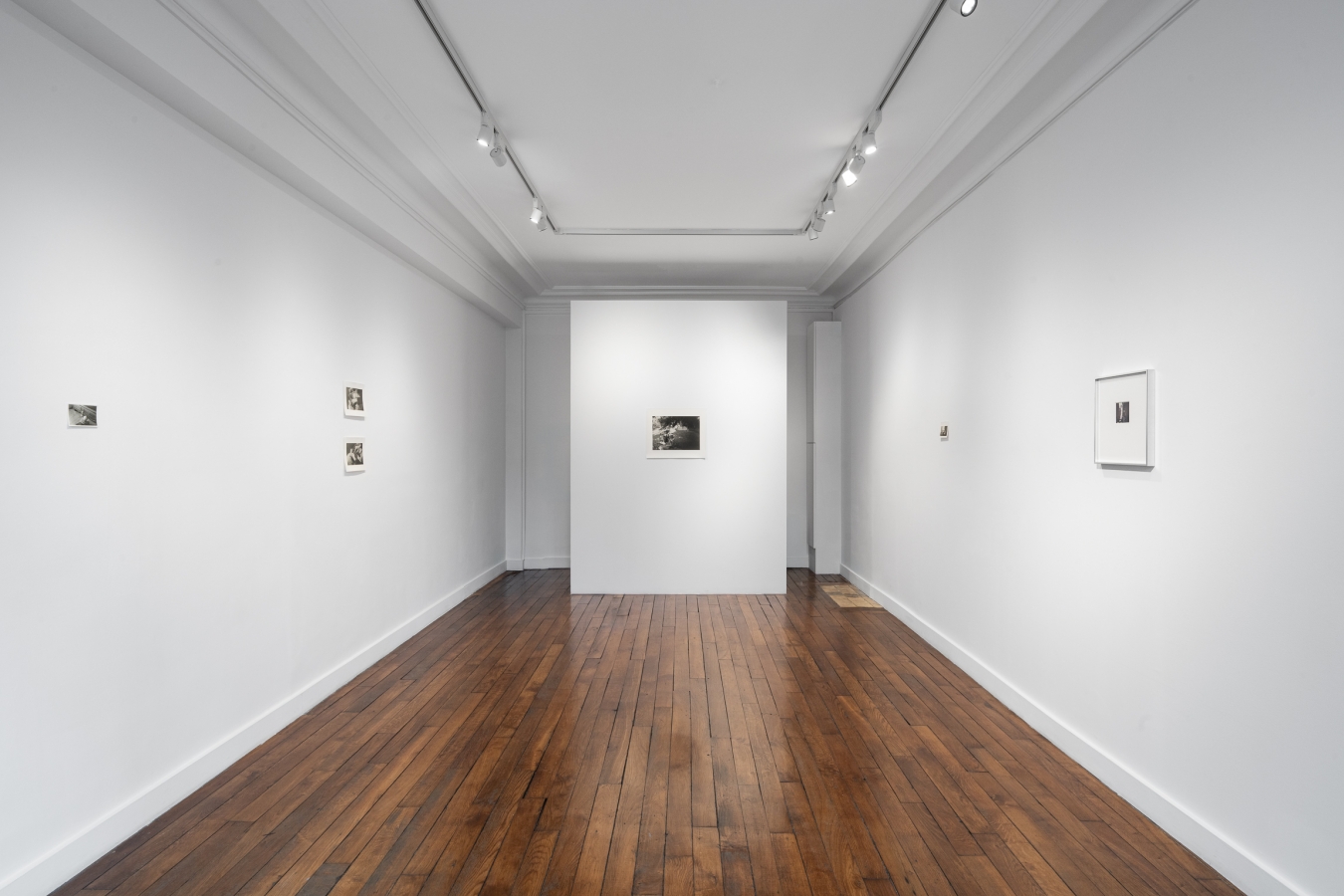 Exposition personnelle - Galerie CrèveCoeur