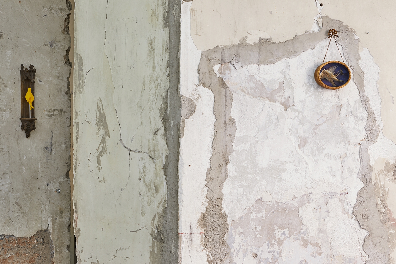 Jour de fête en couleurs - Galerie CrèveCoeur