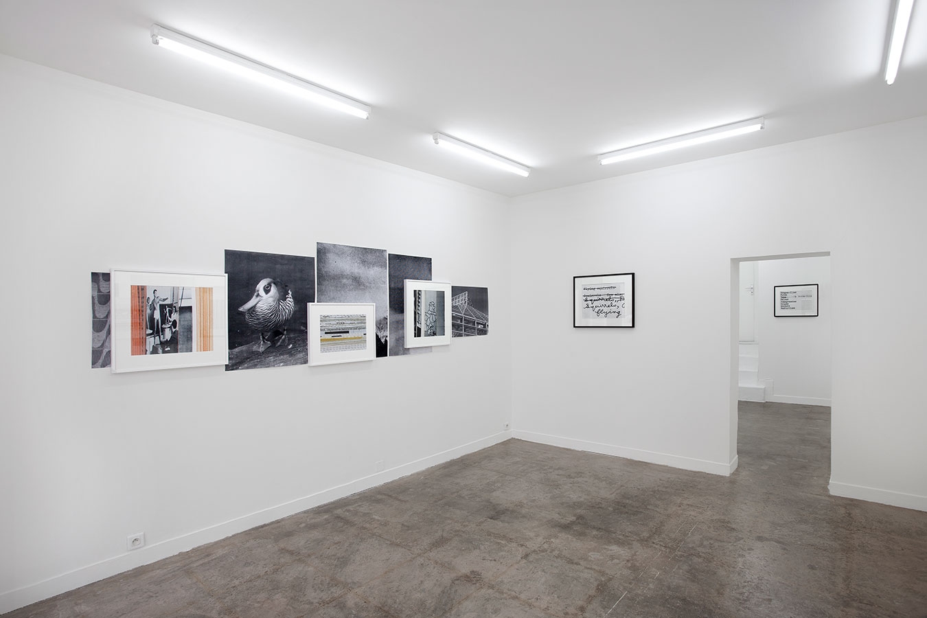 The Public Imagination - Galerie CrèveCoeur