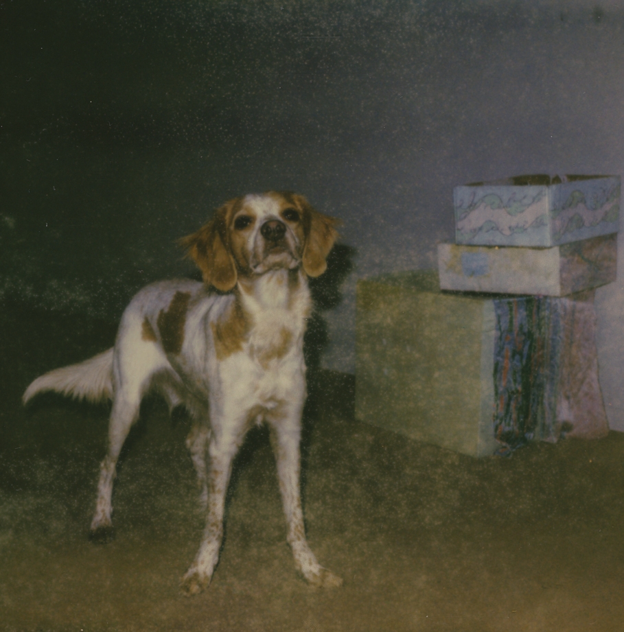 Paris Internationale Milano