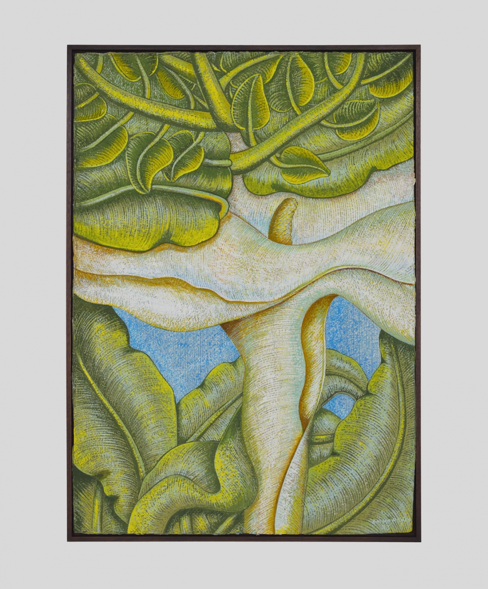 Home - Galerie CrèveCoeur